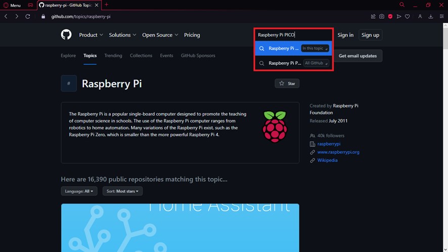 Raspberry Pi Pico 